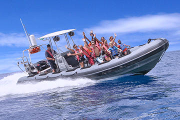 Sculpture Snorkel and Powerboat Sightseeing Tour in Grenada