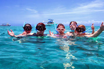 Cozumel Coral Reef Snorkeling by Glass Bottom Boat with Guide