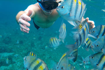 Snorkeling by Glass Bottom Boat (Starting at Cancun, Pto Morelos or Pl del Carm)