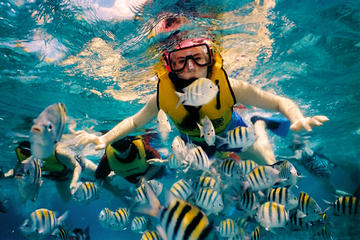 Snorkeling by Glass Bottom Boat (Starting at Tulum, Akumal ans Pto Aventuras)