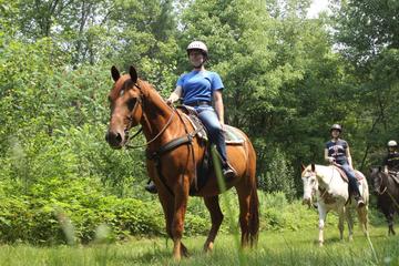 Horseback Riding Tour of Punta Cana