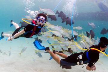 Marinarium Snorkeling Cruise