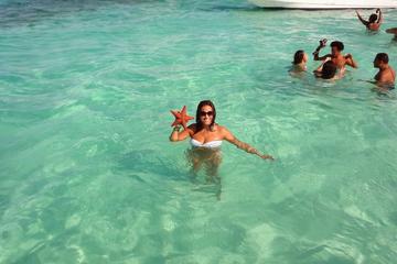 Saona Island Discovery Way