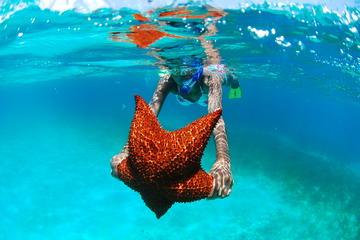 The 5 Pearls of the Caribbean - Saona Island Tour