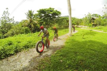 Zip Line and Ecotrail