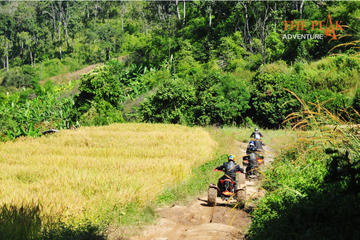Many Mountains ATV Passenger 1 day Q4