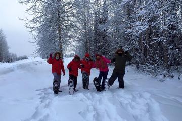 Day Trip Snowshoe Tour at Chena Lakes near Fairbanks, Alaska 