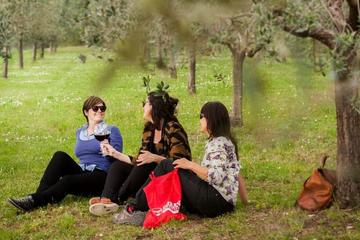 Small Group Wines and Vines of Verona Tour Including Wine Tasting and Lunch