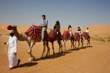 Morning Camel Trekking Safari from Dubai