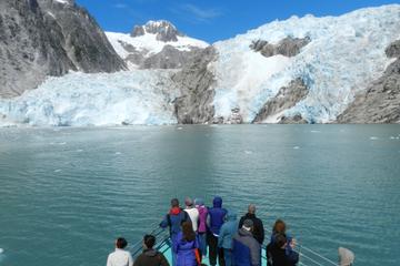 Northwestern Fjord Sightseeing Cruise from Seward