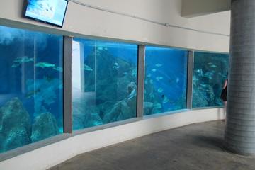 Paranagua Aquarium Admission Ticket