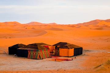 Arabian Desert Overnight camping in Desert  in Salalah