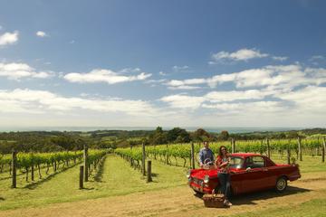 Private Tour: Mornington Peninsula Behind-the-Scenes Gourmet Food and Wine Tasting Experience