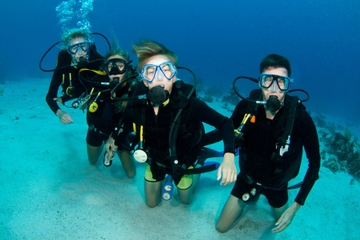 plongee sous marine padi