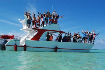 Sunset Party Boat Cruise with Snorkeling