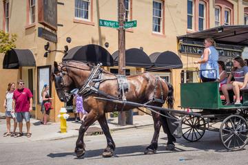 1-Hour Guided Carriage Tour of Charleston's Historic District