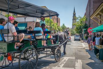 People on horse and buggy ride