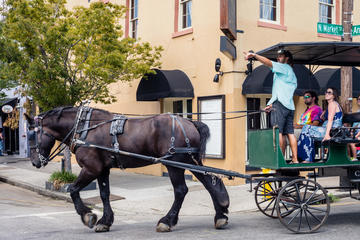 Slavery to Freedom Carriage Tour of Charleston
