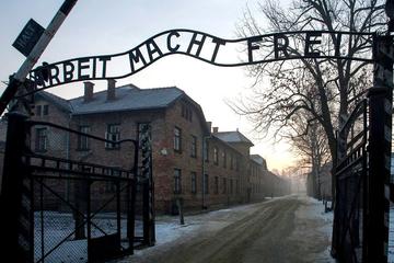 Auschwitz-Birkenau Memorial and Musuem Guided tour from Krakow