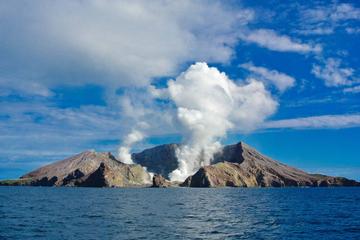 White Island Cruise & Volcanic Expedition – Tauranga Shore Excursion