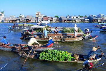 Can Tho 1 Day Tour from Ho Chi Minh City
