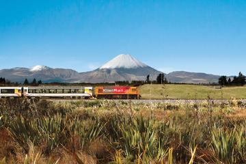 Full-Day Wellington to Auckland Scenic Train Ride
