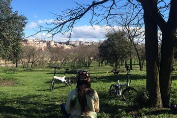 Electric Bike Rental in Madrid