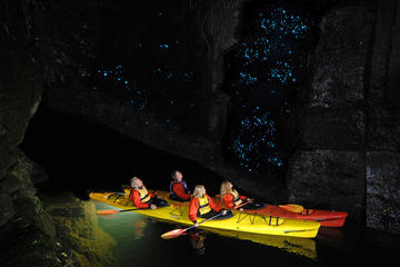 Evening Glow Worm Kayak Tour in Tauranga