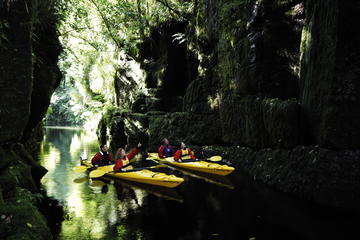 Scenic Lake McLaren Kayak Tour