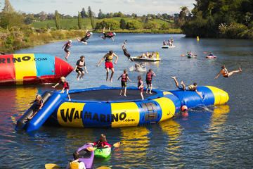 Tauranga Shore Excursion: Waimarino Adventure Park