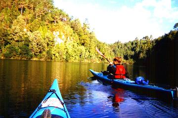 Tauranga Shore Excursion: Wairoa River Kayak Tour
