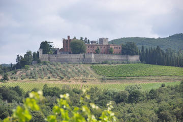 Chianti Classico food & wine tour