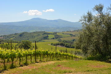 Montalcino food & wine tour