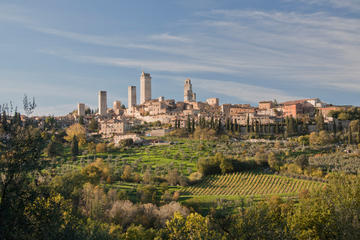 San Gimignano food & wine tour