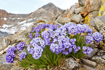 Private Tour: Yosemite Hike with Naturalist Guide