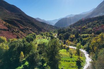 Atlas Mountains and 3 Valleys Guided Day Tour including Lunch from Marrakech