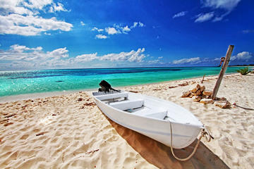 Skip-the-Line Admission Ticket to Punta Sur Eco Beach Park