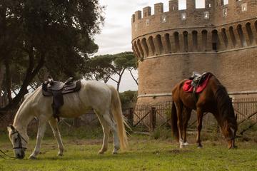 HORSE DAY IN ANCIENT ROME