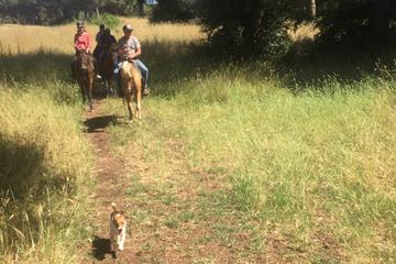 Horse Riding Trail in Ancient Rome