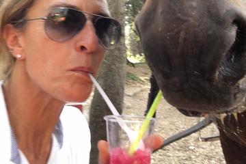 Pic nic on horseback in Rome