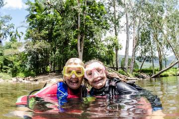 Rainforest Platypus Dive