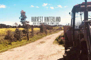 Harvest Hinterland: Otway Ranges Produce Day Tour from Geelong