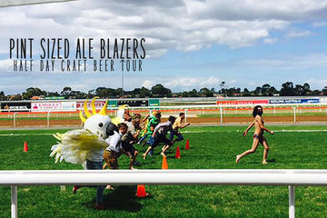 Pint Sized Ale Blazers: Half Day Craft Beer Tour from Geelong