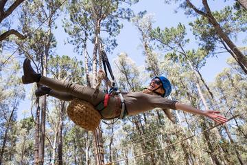 Busselton High Ropes and Flying Fox Adventures