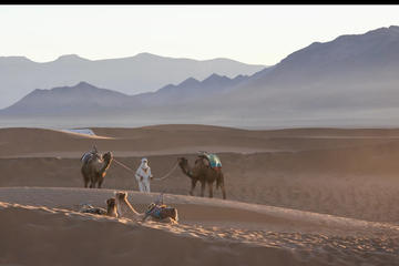 2 Day Desert Tour from Marrakech to Zagora