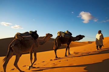 Camel ride Marrakech