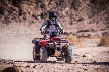 Half day quad biking and camel ride