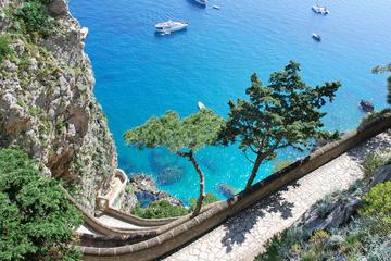 Capri Shared Tour - with pick up