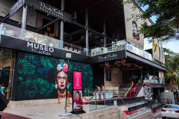 Frida Kahlo Museum regular admission ticket
