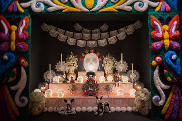 Skip The Line Admission: Museo Frida Kahlo Riviera Maya in Playa del Carmen